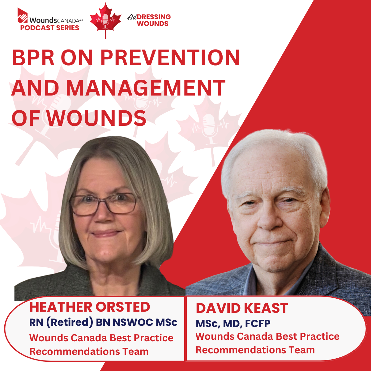 BPR on Prevention and Management of Wounds Addressing Wounds Podcast episode