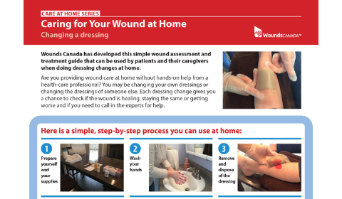 Care at Home Series