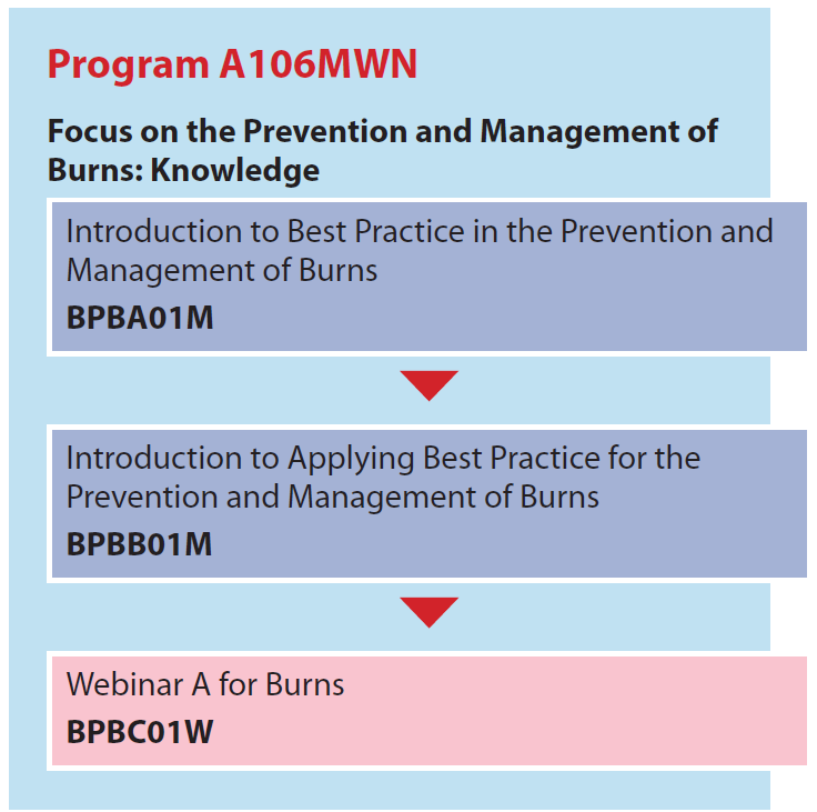 A106MWN Program Flow